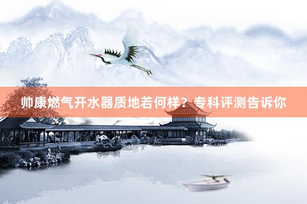 帅康燃气开水器质地若何样？专科评测告诉你