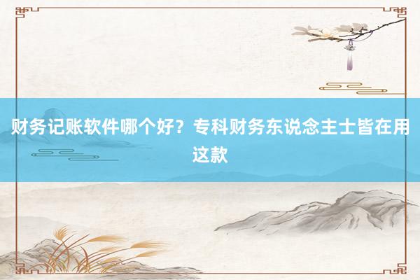 财务记账软件哪个好？专科财务东说念主士皆在用这款