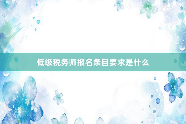 低级税务师报名条目要求是什么
