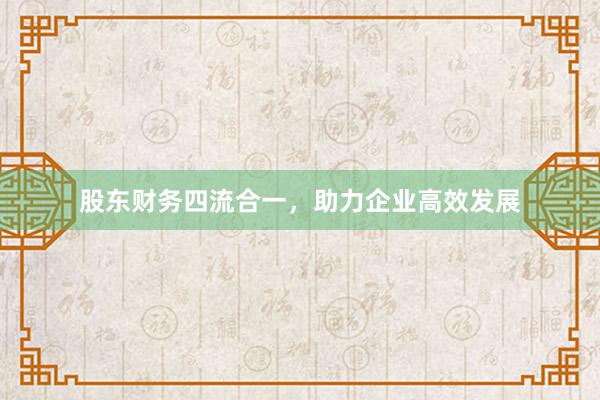 股东财务四流合一，助力企业高效发展